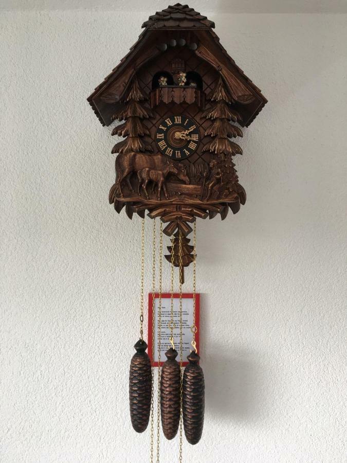 Appartement Bergwaerts Rickenbach  Extérieur photo